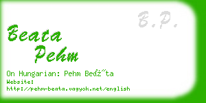 beata pehm business card